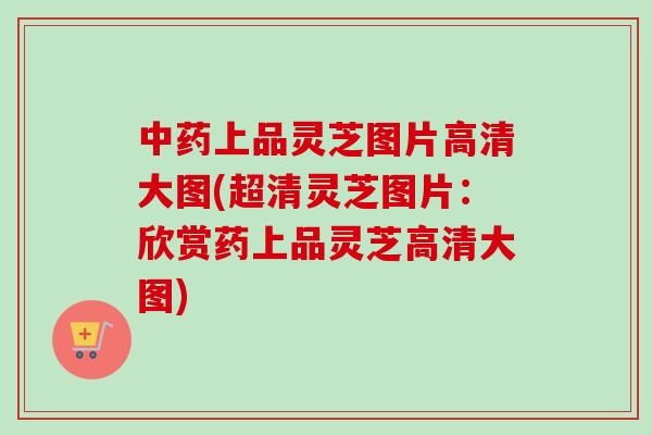 中药上品灵芝图片高清大图(超清灵芝图片：欣赏药上品灵芝高清大图)