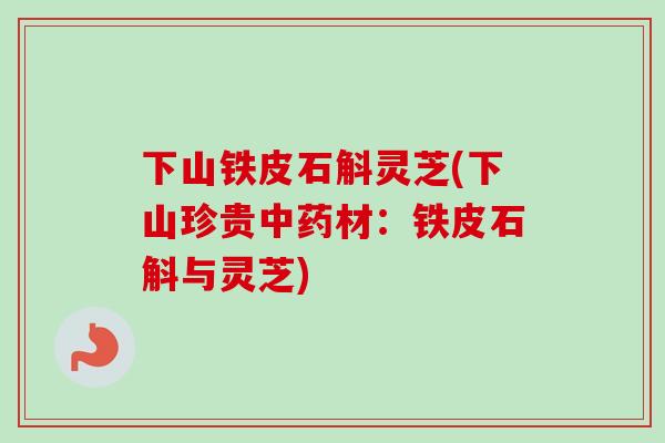 下山铁皮石斛灵芝(下山珍贵中药材：铁皮石斛与灵芝)