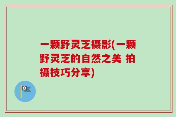 一颗野灵芝摄影(一颗野灵芝的自然之美 拍摄技巧分享)