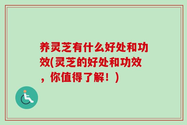 养灵芝有什么好处和功效(灵芝的好处和功效，你值得了解！)