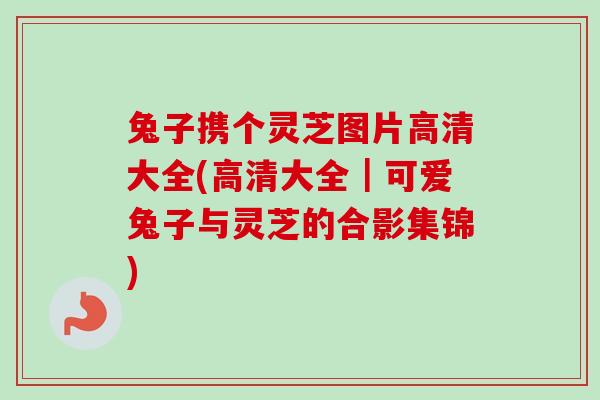 兔子携个灵芝图片高清大全(高清大全｜可爱兔子与灵芝的合影集锦)