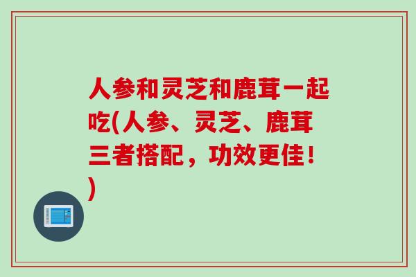 人参和灵芝和鹿茸一起吃(人参、灵芝、鹿茸三者搭配,功效更佳!) 人参和灵芝和鹿茸一起吃(人参、灵芝、鹿茸三者搭配,功效更佳!)