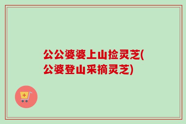 公公婆婆上山捡灵芝(公婆登山采摘灵芝) 公公婆婆上山捡灵芝(公婆登山采摘灵芝)