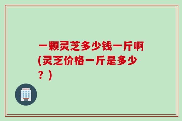 一颗灵芝多少钱一斤啊(灵芝价格一斤是多少？)
