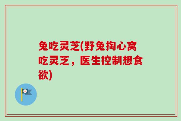 兔吃灵芝(野兔掏心窝吃灵芝，医生控制想食欲)