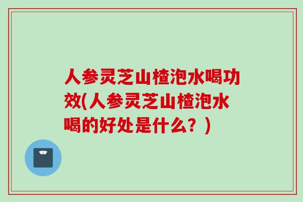 人参灵芝山楂泡水喝功效(人参灵芝山楂泡水喝的好处是什么？)
