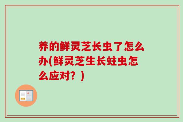 养的鲜灵芝长虫了怎么办(鲜灵芝生长蛀虫怎么应对？)