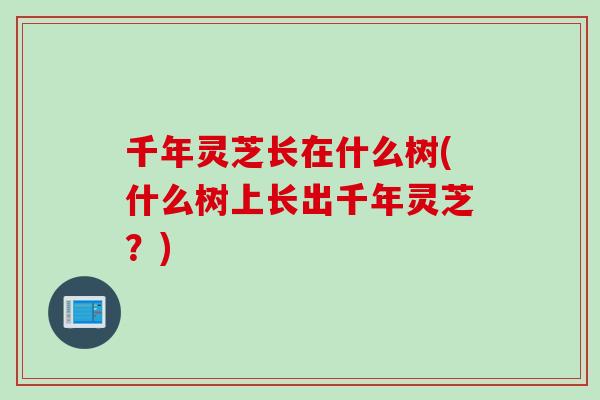 千年灵芝长在什么树(什么树上长出千年灵芝？)