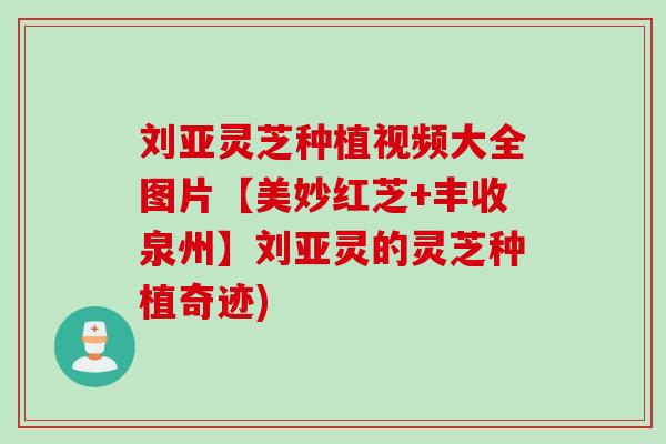 刘亚灵芝种植视频大全图片【美妙红芝+丰收泉州】刘亚灵的灵芝种植奇迹)