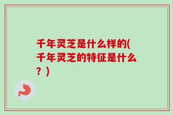 千年灵芝是什么样的(千年灵芝的特征是什么？)