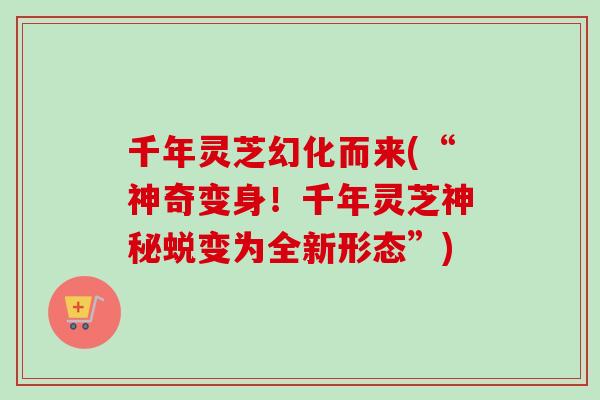千年灵芝幻化而来(“神奇变身！千年灵芝神秘蜕变为全新形态”)
