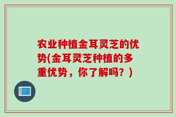 农业种植金耳灵芝的优势(金耳灵芝种植的多重优势，你了解吗？)