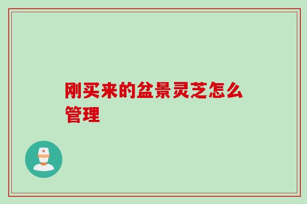 刚买来的盆景灵芝怎么管理