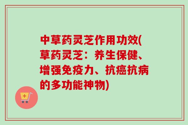 中草药灵芝作用功效(草药灵芝:养生保健、增强免疫力、抗抗的多功能神物) 中草药灵芝作用功效(草药灵芝:养生保健、增强免疫力、抗抗的多功能神物)