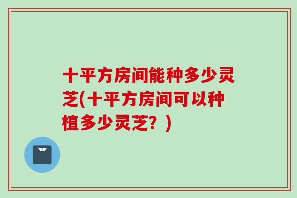 十平方房间能种多少灵芝(十平方房间可以种植多少灵芝?) 十平方房间能种多少灵芝(十平方房间可以种植多少灵芝?)