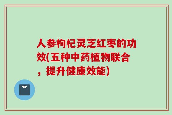 人参枸杞灵芝红枣的功效(五种中药植物联合，提升健康效能)