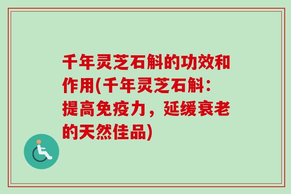 千年灵芝石斛的功效和作用(千年灵芝石斛：提高免疫力，延缓衰老的天然佳品)
