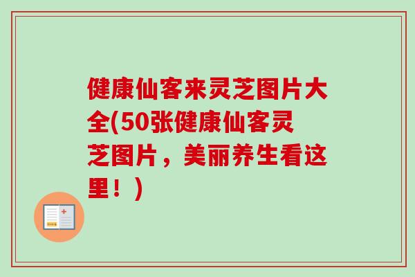 健康仙客来灵芝图片大全(50张健康仙客灵芝图片,美丽养生看这里!) 健康仙客来灵芝图片大全(50张健康仙客灵芝图片,美丽养生看这里!)