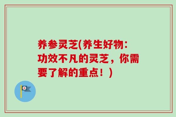 养参灵芝(养生好物:功效不凡的灵芝,你需要了解的重点!) 养参灵芝(养生好物:功效不凡的灵芝,你需要了解的重点!)