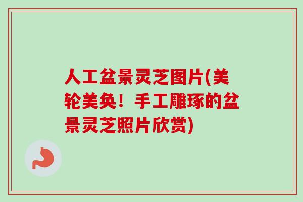 人工盆景灵芝图片(美轮美奂！手工雕琢的盆景灵芝照片欣赏)
