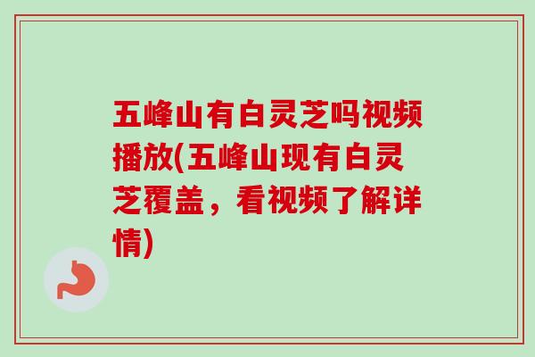 五峰山有白灵芝吗视频播放(五峰山现有白灵芝覆盖，看视频了解详情)
