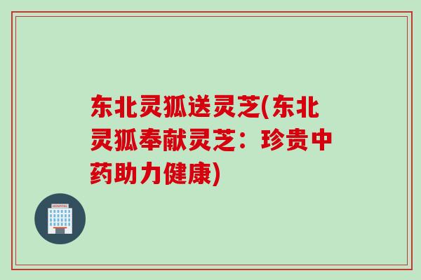 东北灵狐送灵芝(东北灵狐奉献灵芝：珍贵中药助力健康)