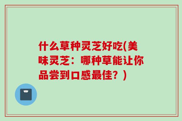 什么草种灵芝好吃(美味灵芝：哪种草能让你品尝到口感最佳？)