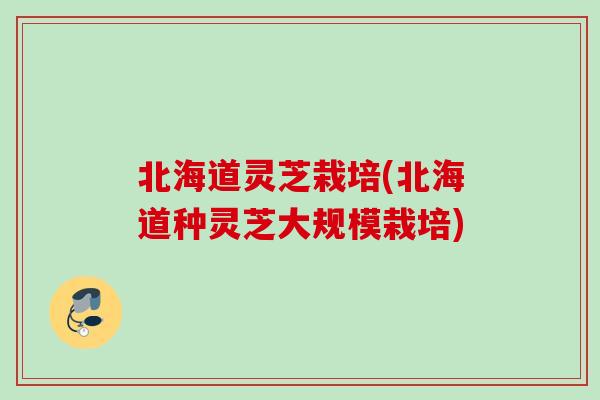 北海道灵芝栽培(北海道种灵芝大规模栽培)
