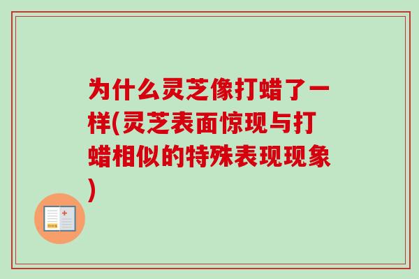 为什么灵芝像打蜡了一样(灵芝表面惊现与打蜡相似的特殊表现现象)