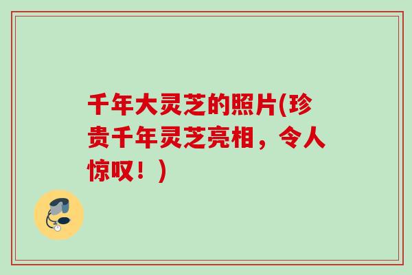千年大灵芝的照片(珍贵千年灵芝亮相，令人惊叹！)