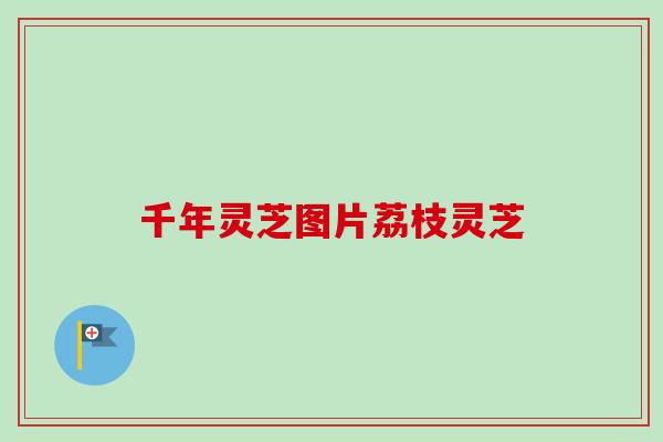 千年灵芝图片荔枝灵芝 千年灵芝图片荔枝灵芝