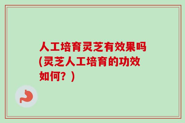 人工培育灵芝有效果吗(灵芝人工培育的功效如何？)
