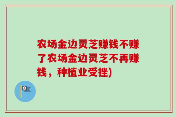 农场金边灵芝赚钱不赚了农场金边灵芝不再赚钱，种植业受挫)