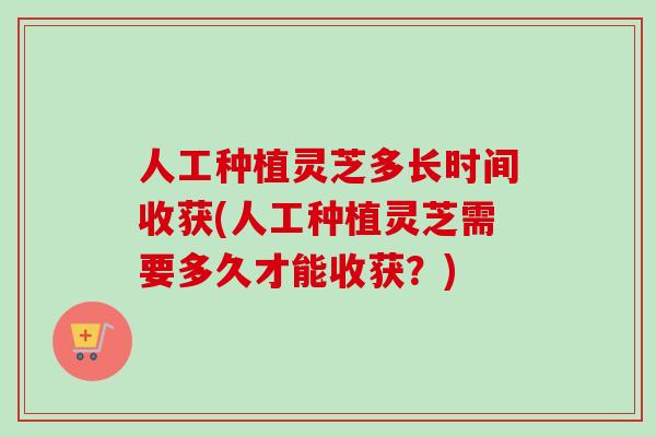 人工种植灵芝多长时间收获(人工种植灵芝需要多久才能收获?) 人工种植灵芝多长时间收获(人工种植灵芝需要多久才能收获?)