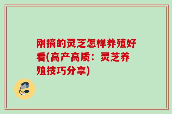 刚摘的灵芝怎样养殖好看(高产高质：灵芝养殖技巧分享)