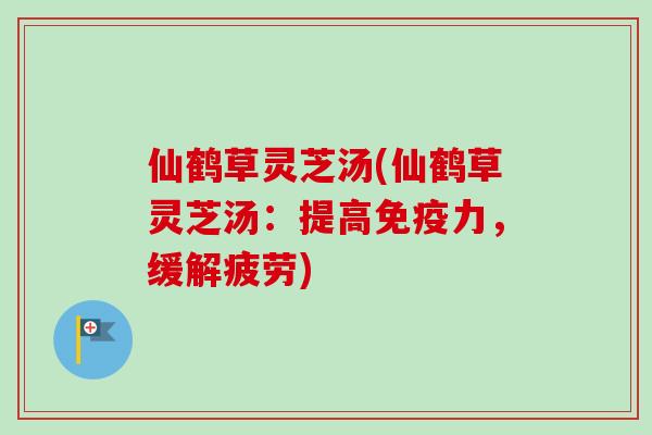 仙鹤草灵芝汤(仙鹤草灵芝汤：提高免疫力，缓解疲劳)