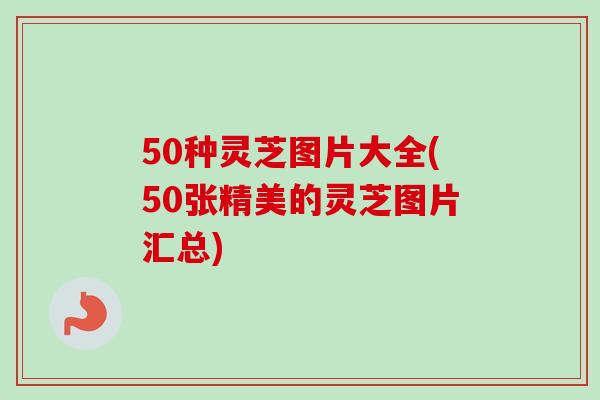 50种灵芝图片大全(50张精美的灵芝图片汇总)