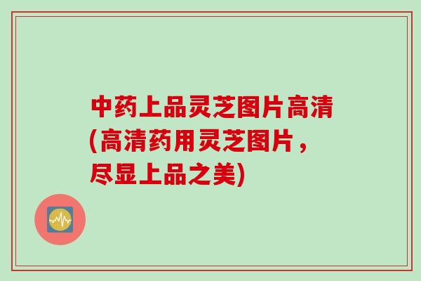 中药上品灵芝图片高清(高清药用灵芝图片，尽显上品之美)
