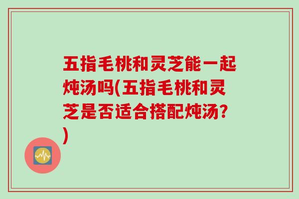 五指毛桃和灵芝能一起炖汤吗(五指毛桃和灵芝是否适合搭配炖汤？)