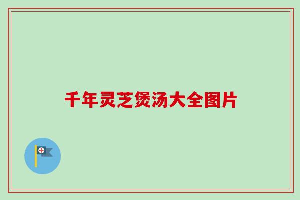 千年灵芝煲汤大全图片