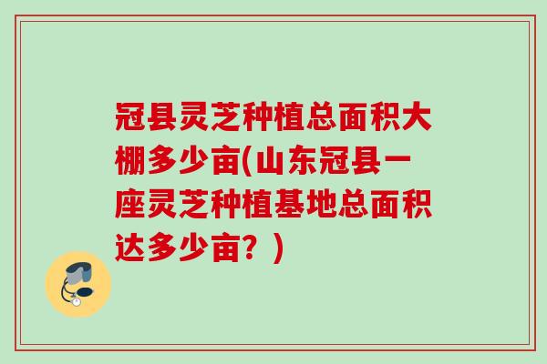 冠县灵芝种植总面积大棚多少亩(山东冠县一座灵芝种植基地总面积达多少亩？)