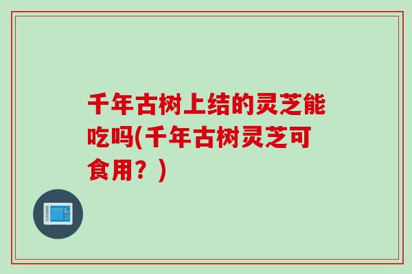 千年古树上结的灵芝能吃吗(千年古树灵芝可食用？)