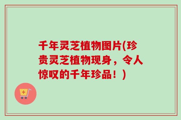 千年灵芝植物图片(珍贵灵芝植物现身，令人惊叹的千年珍品！)