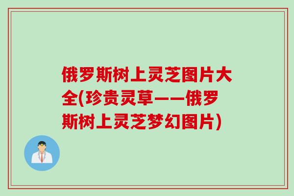 俄罗斯树上灵芝图片大全(珍贵灵草——俄罗斯树上灵芝梦幻图片)