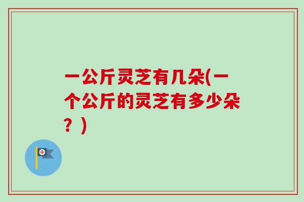 一公斤灵芝有几朵(一个公斤的灵芝有多少朵？)