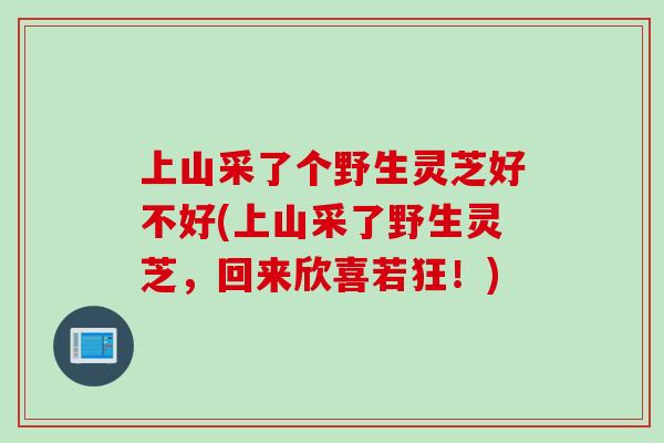 上山采了个野生灵芝好不好(上山采了野生灵芝，回来欣喜若狂！)