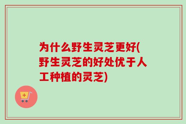 为什么野生灵芝更好(野生灵芝的好处优于人工种植的灵芝)