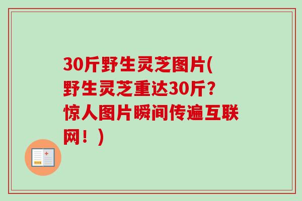 30斤野生灵芝图片(野生灵芝重达30斤？惊人图片瞬间传遍互联网！)