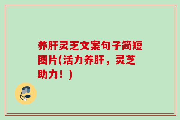 养肝灵芝文案句子简短图片(活力养肝，灵芝助力！)
