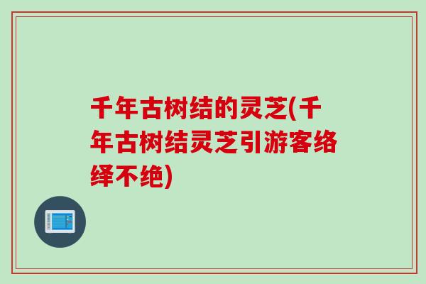 千年古树结的灵芝(千年古树结灵芝引游客络绎不绝)